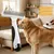 FurryFusion Peigne double rangée pour chien et chat FurryFusion Peigne double rangée pour chien et chat