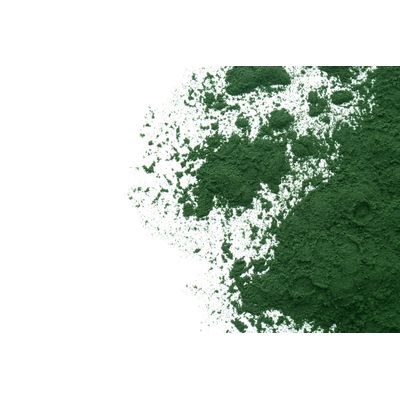 Spiruline Bio en poudre pour Chien