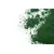 Spiruline Bio en poudre pour Chien
