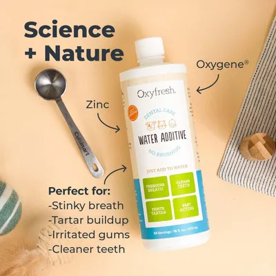 Oxyfresh Additif eau chat chien anti-mauvaise haleine 473ml Oxyfresh Additif eau chat chien anti-mauvaise haleine 473ml