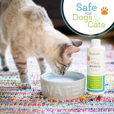 Oxyfresh Additif eau chat chien anti-mauvaise haleine 473ml Oxyfresh Additif eau chat chien anti-mauvaise haleine 473ml
