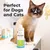 Oxyfresh Additif eau chat chien anti-mauvaise haleine 473ml Oxyfresh Additif eau chat chien anti-mauvaise haleine 473ml