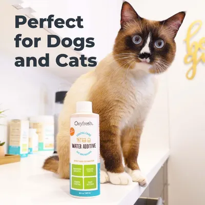 Oxyfresh Additif eau chat chien anti-mauvaise haleine 473ml Oxyfresh Additif eau chat chien anti-mauvaise haleine 473ml