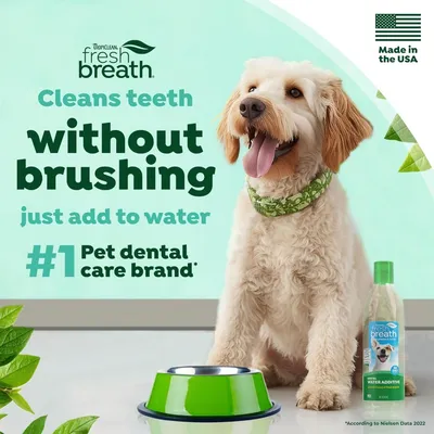 TropiClean Additif eau chien menthe 473ml sans brossage TropiClean Additif eau chien menthe 473ml sans brossage