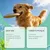 Zoomtopia Spray buccal chien 100ml sans brossage