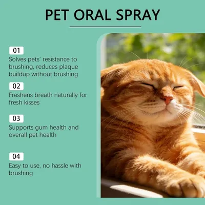 Zoomtopia Spray buccal chien 100ml sans brossage