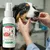 Zoomtopia Spray buccal chien 100ml sans brossage