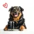 entoVITAL DOG SENSITIV Nassfutter entoVITAL DOG SENSITIV Nassfutter
