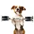 entoVITAL DOG SENSITIV Nassfutter entoVITAL DOG SENSITIV Nassfutter