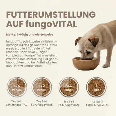 fungoVITAL Menu Forêt Croquettes