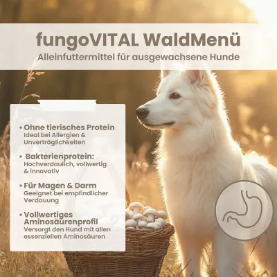 fungoVITAL Menu Forêt Croquettes