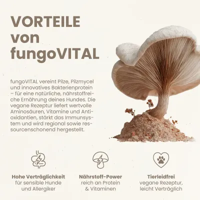 fungoVITAL WaldMenü Trockenfutter fungoVITAL WaldMenü Trockenfutter