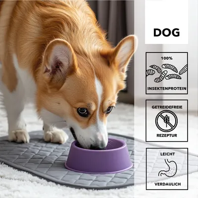 entoVITAL DOG HYPOALLERGENIC nourriture humide entoVITAL DOG HYPOALLERGENIC nourriture humide