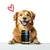 entoVITAL DOG HYPOALLERGENIC nourriture humide entoVITAL DOG HYPOALLERGENIC nourriture humide