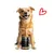 entoVITAL DOG HYPOALLERGENIC nourriture humide