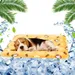MCBOSON Matelas de refroidissement pour chiens et chats jaune M