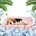 MCBOSON Matelas de refroidissement pour chiens et chats rose L