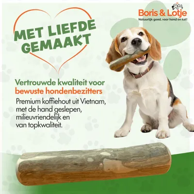 racine de koffeier Kauwstaaf Chien chiot XXS (9–11 cm) - Par pièce racine de koffeier Kauwstaaf Chien chiot XXS (9–11 cm) - Par pièce