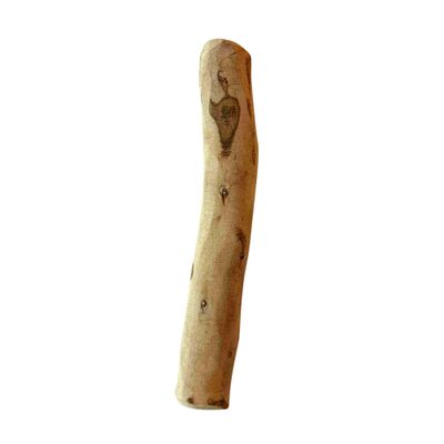 Bois d’olivier bâton à mâcher chien 100 % naturel L (20–25 cm) - par pièce