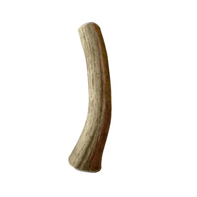 Bois de renne friandise chien 100 % naturel M - par pièce
