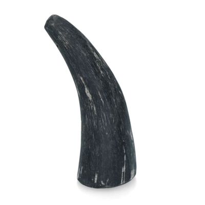 Corne de buffle, corne de Viking 100 % naturel taille S, 75-150 grammes