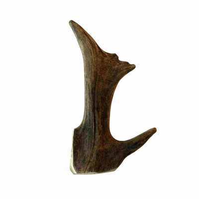 Bois de cerf daim friandise chien 100 % naturel L (20–25 cm)