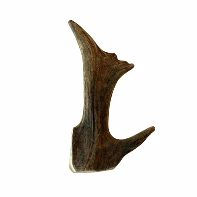 Bois de cerf daim friandise chien 100 % naturel L (20–25 cm) Bois de cerf daim friandise chien 100 % naturel L (20–25 cm)