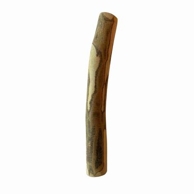 Bâtonnet à mâcher en olivier pour chien 100% naturel taille M, 15-20 cm