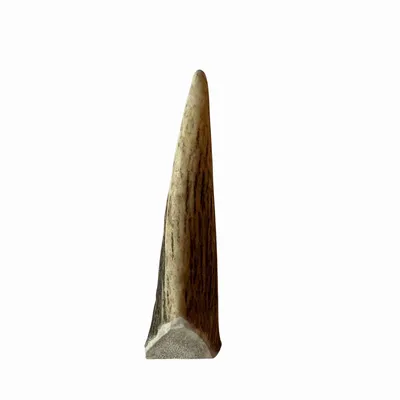 Bois de renne friandise chien 100 % naturel S - par pièce Bois de renne friandise chien 100 % naturel S - par pièce