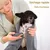 ZooVenture Serviette Chat Chien - Microfibre, 100x50cm, Absorbante