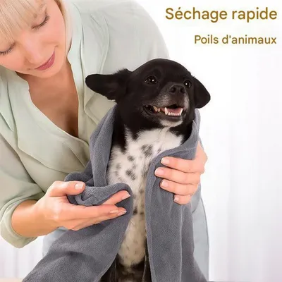 ZooVenture Serviette Chat Chien - Microfibre, 100x50cm, Absorbante