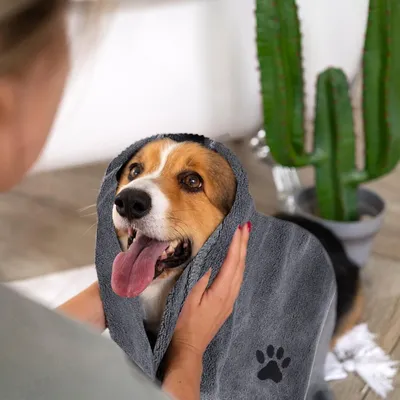 FurryFusion Serviette pour animaux de compagnie en microfibre FurryFusion Serviette pour animaux de compagnie en microfibre