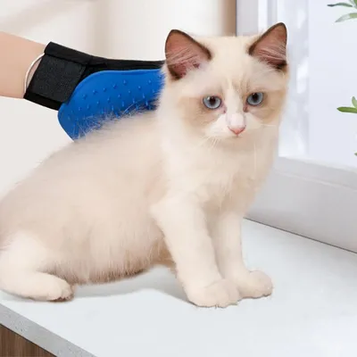 Gant magique anti-poils animaux