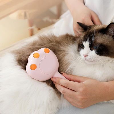 BROSSE À VAPEUR ÉLECTRIQUE POUR CHATS ET ANIMAUX POUR LE SOIN DES
