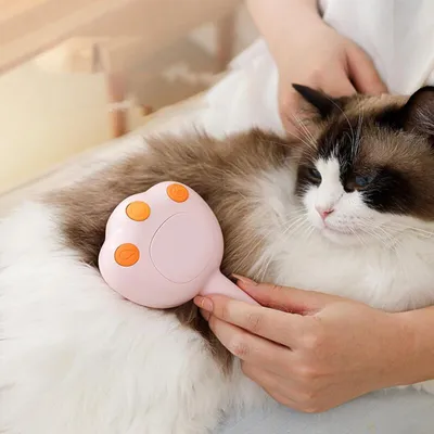 BROSSE À VAPEUR ÉLECTRIQUE POUR CHATS ET ANIMAUX POUR LE SOIN DES BROSSE À VAPEUR ÉLECTRIQUE POUR CHATS ET ANIMAUX POUR LE SOIN DES