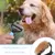 Peigne de toilettage bleu : double lame pour poils longs chiens/chats Peigne de toilettage bleu : double lame pour poils longs chiens/chats