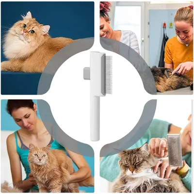 Peigne dents métalliques : brosse auto-nettoyante chat/chien, idéal voyage Peigne dents métalliques : brosse auto-nettoyante chat/chien, idéal voyage