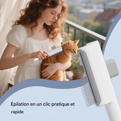 Peigne dents métalliques : brosse auto-nettoyante chat/chien, idéal voyage