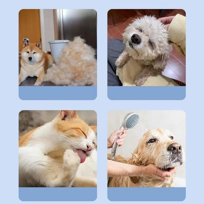 Peigne dents métalliques : brosse auto-nettoyante chat/chien, idéal voyage