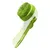 PetTribes Brosse de Toilettage Brosse de Bain pour Animaux PetTribes Brosse de Toilettage Brosse de Bain pour Animaux