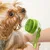 PetTribes Brosse de Toilettage Brosse de Bain pour Animaux PetTribes Brosse de Toilettage Brosse de Bain pour Animaux
