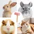 ZooVenture Brosse Lapin Silicone Rose Massage ZooVenture Brosse Lapin Silicone Rose Massage