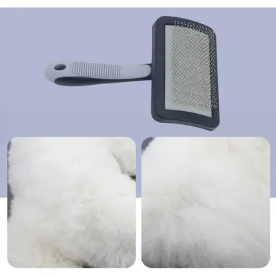 ZooVenture Brosse Toilettage Chien Pelage Doux ZooVenture Brosse Toilettage Chien Pelage Doux
