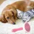 Brosse autonettoyante rose : peigne de massage pour chat & chien, 1 clic Brosse autonettoyante rose : peigne de massage pour chat & chien, 1 clic