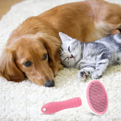 Brosse autonettoyante rose : peigne de massage pour chat & chien, 1 clic Brosse autonettoyante rose : peigne de massage pour chat & chien, 1 clic
