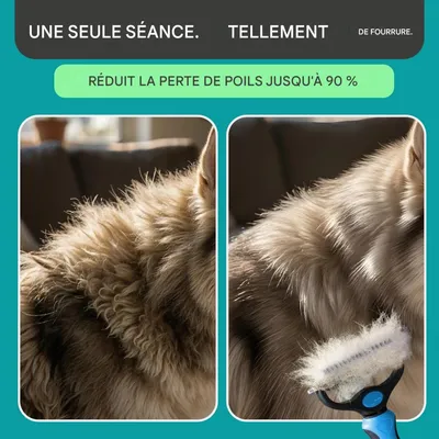 HausPets Peigne démêlant pour chiens et chats