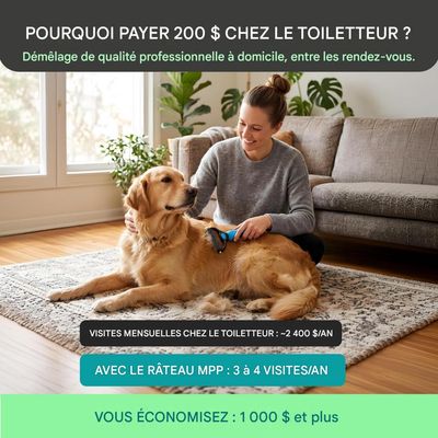 HausPets Peigne démêlant pour chiens et chats