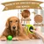 2 peignes démêlants pour animaux (orange + vert) : brosse soin & nœuds 2 peignes démêlants pour animaux (orange + vert) : brosse soin & nœuds