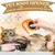 2 peignes démêlants pour animaux (orange + vert) : brosse soin & nœuds 2 peignes démêlants pour animaux (orange + vert) : brosse soin & nœuds
