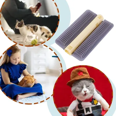 Grattoir angle chat : peigne massage, jouet interactif & cataire, gris Grattoir angle chat : peigne massage, jouet interactif & cataire, gris